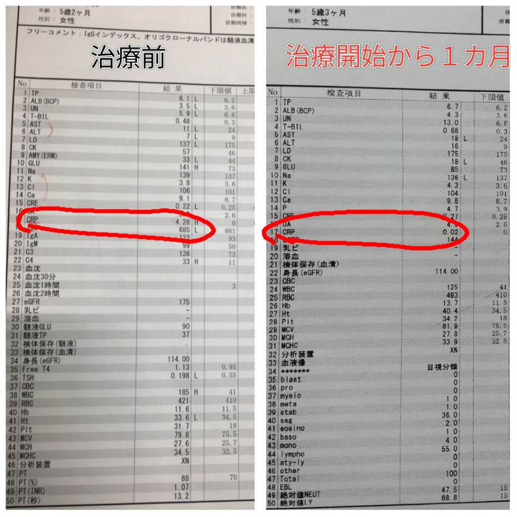 画像に alt 属性が指定されていません。ファイル名: PhotoCollage_15860706637443652.jpg